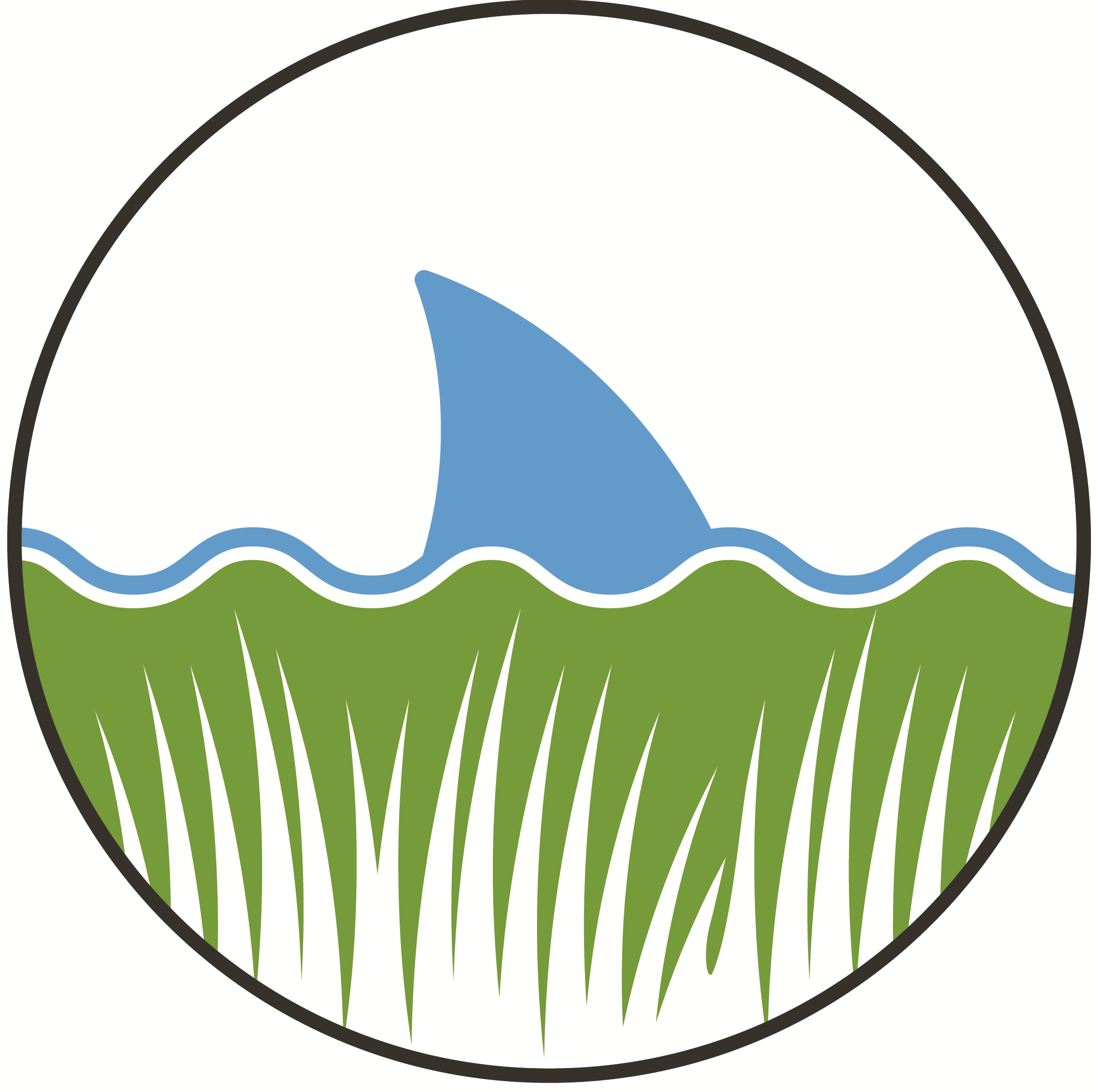 Lawn and pool logo cropped