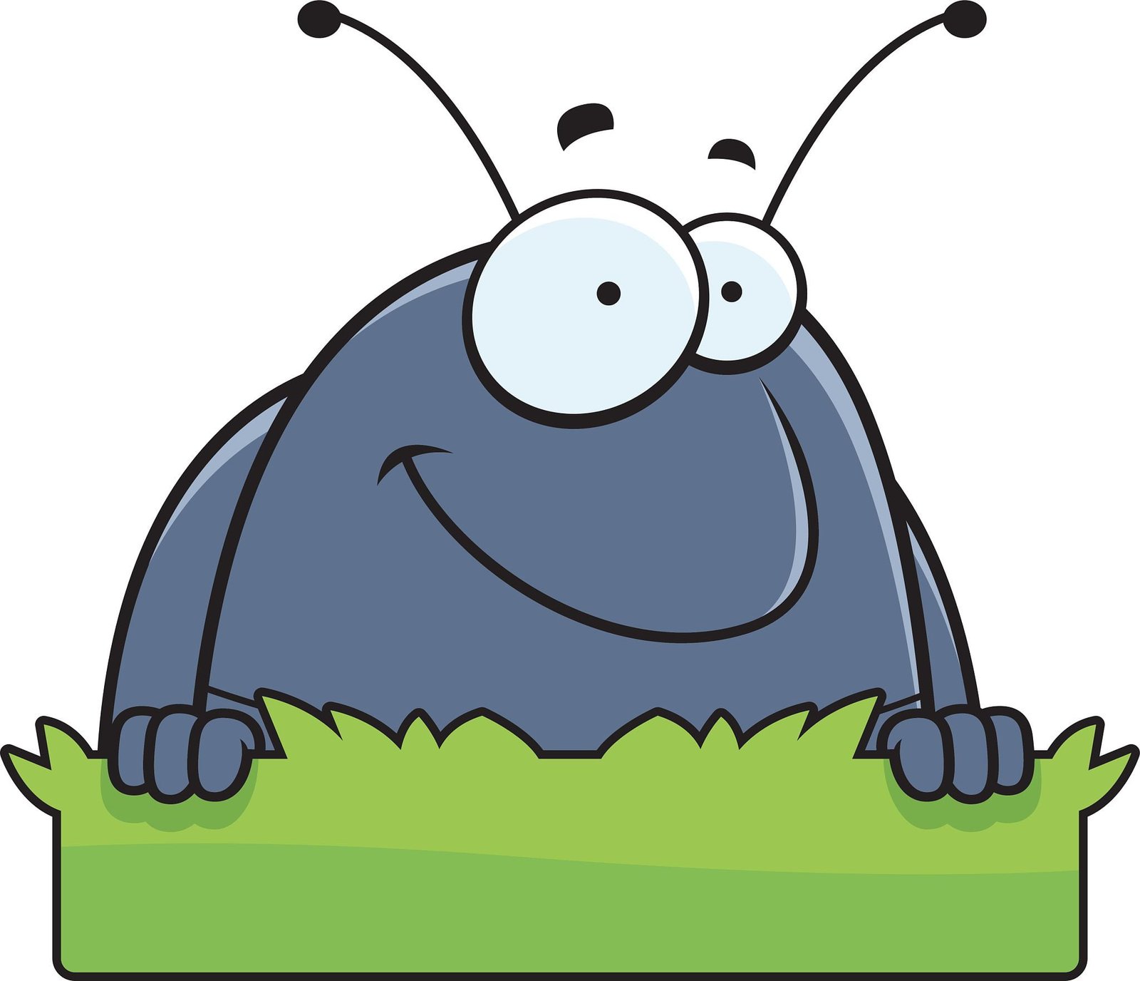 cartoon billbug