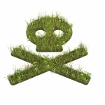 Mow the Lawn cover skull