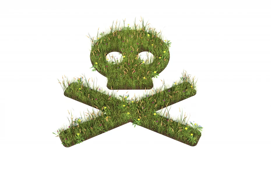 Mow the Lawn cover skull