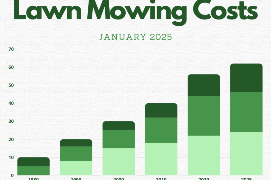 Lawn Mowing Costs Graph