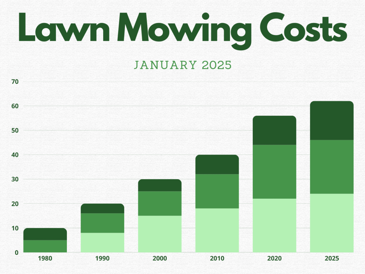 Lawn Mowing Costs Graph